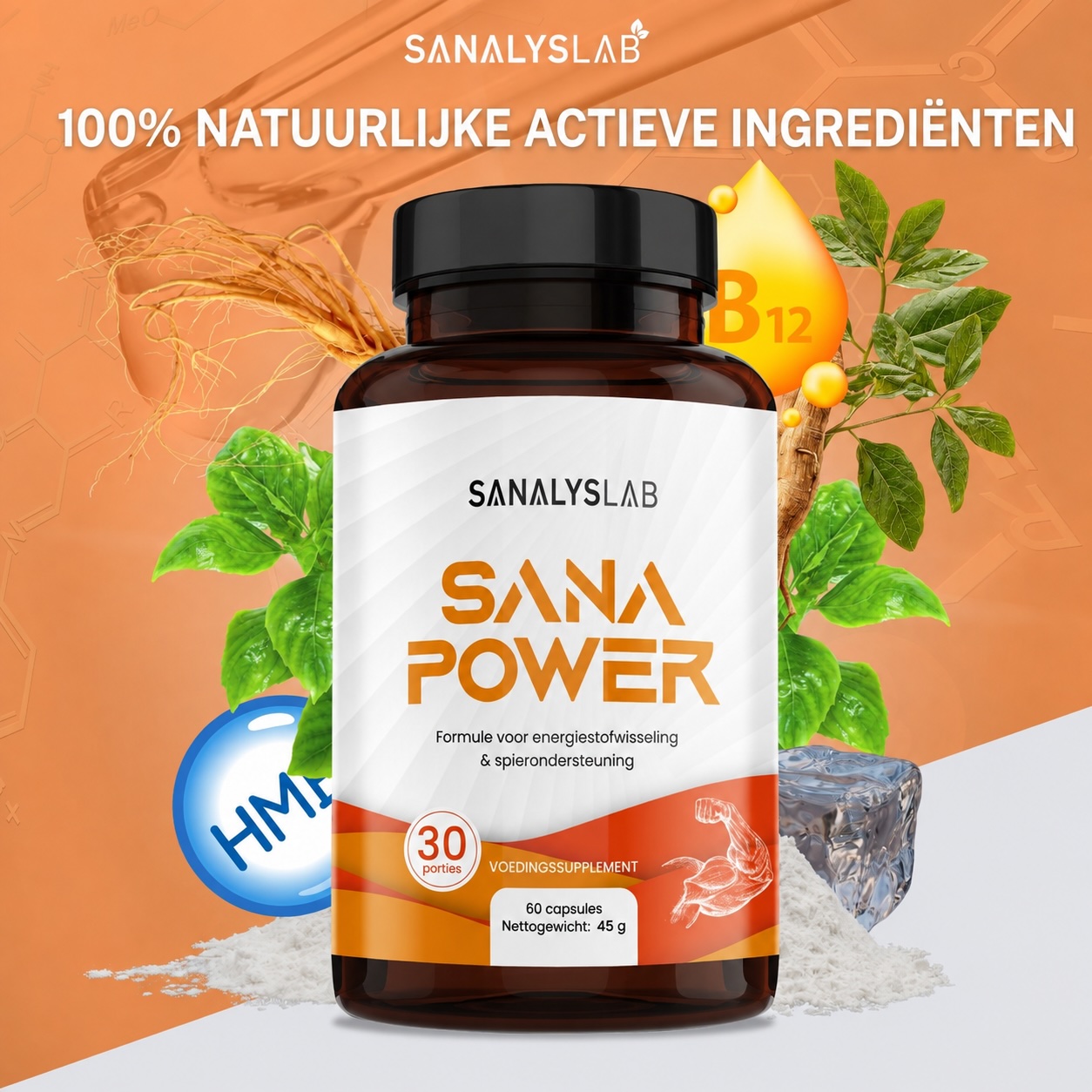 Sana Power - Afbeelding 2